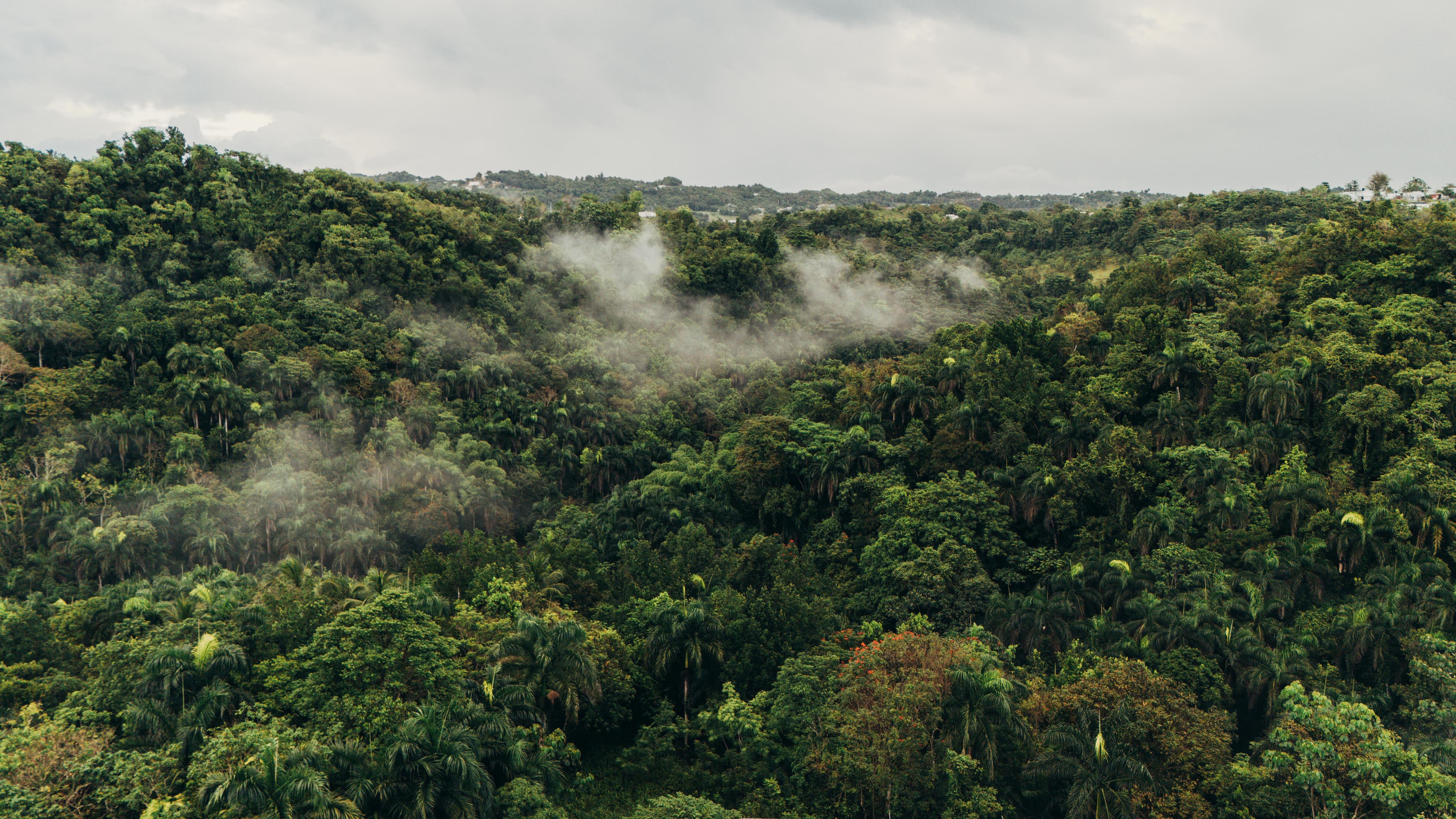 Puerto Rico