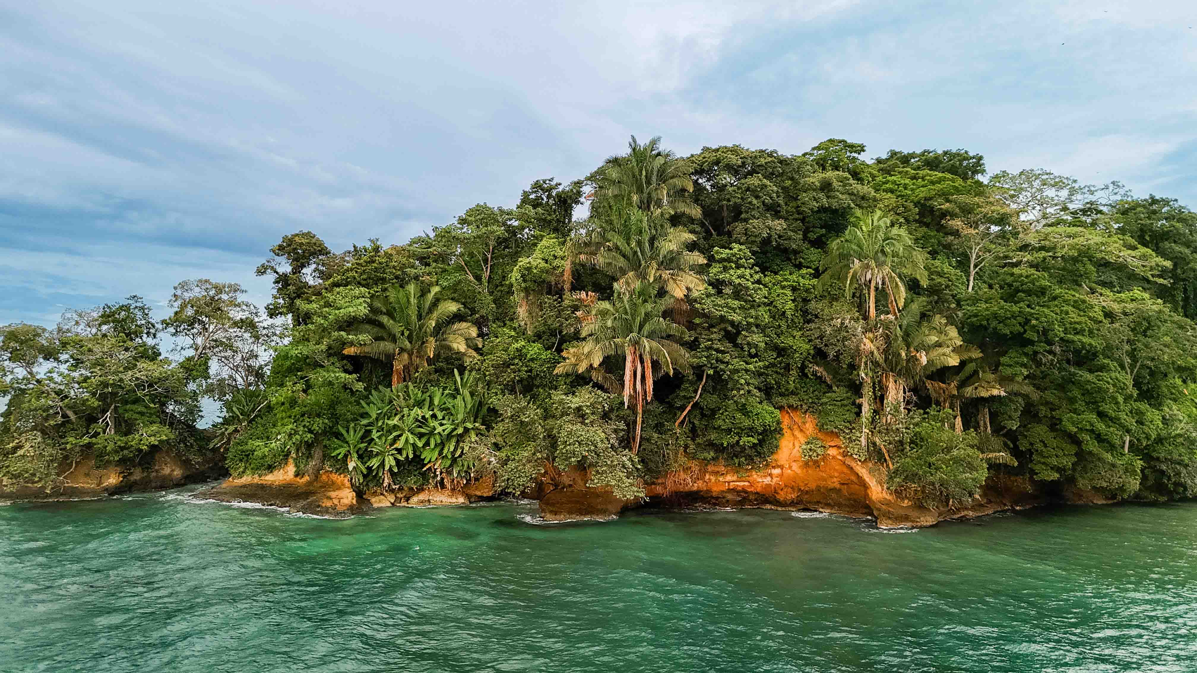Jungle Shore