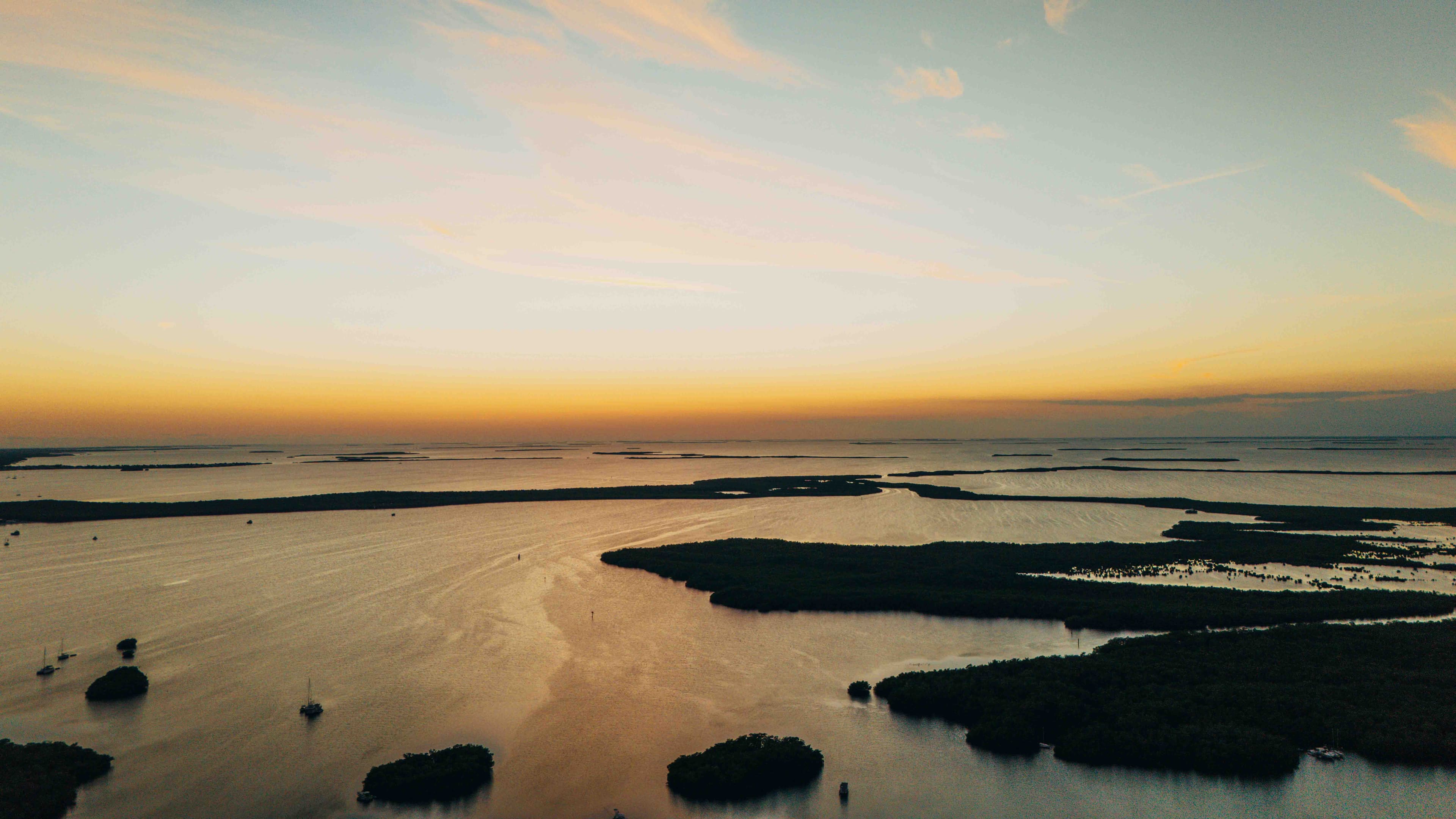 Golden Delta
