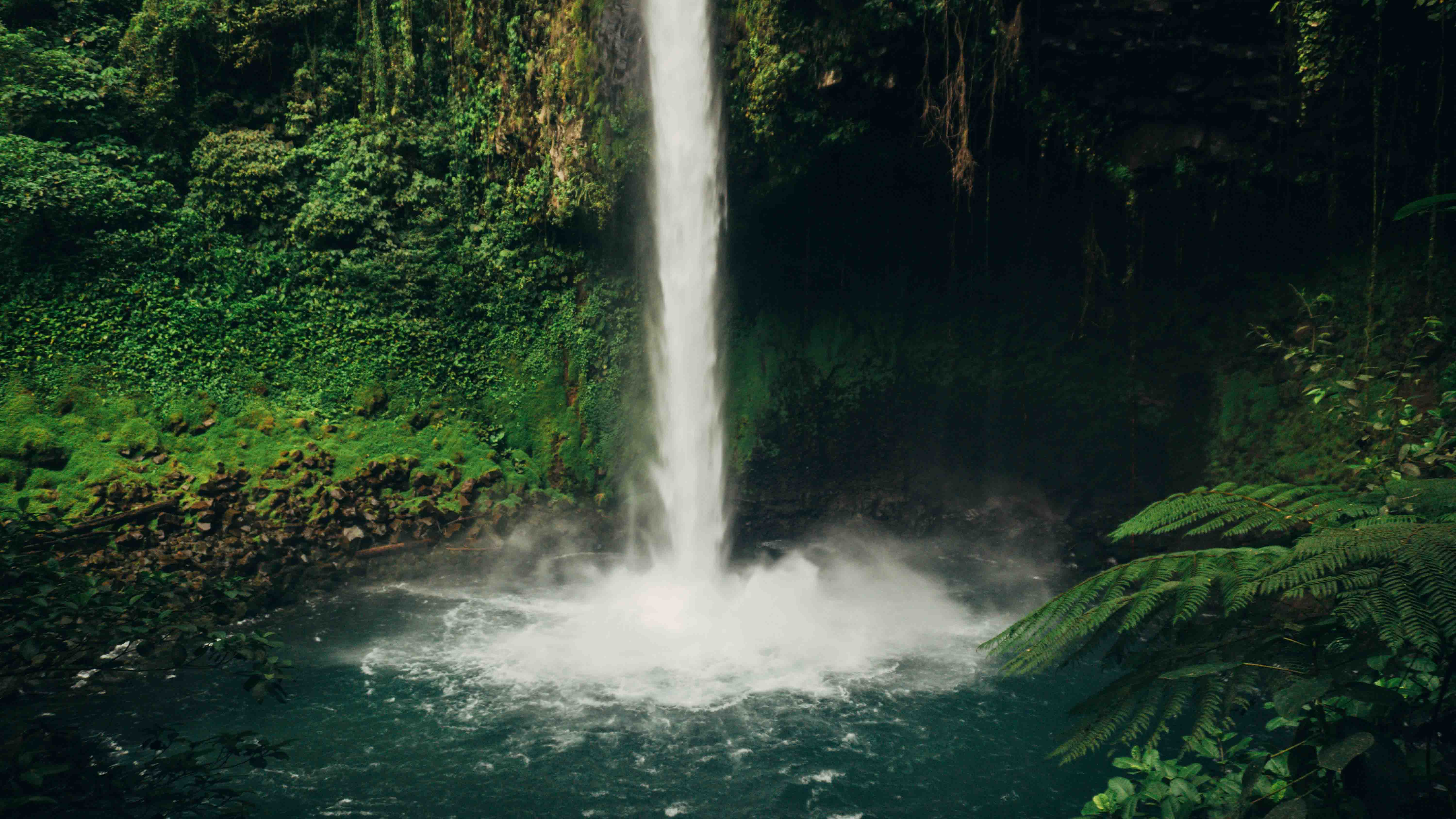 Jungle Cascade