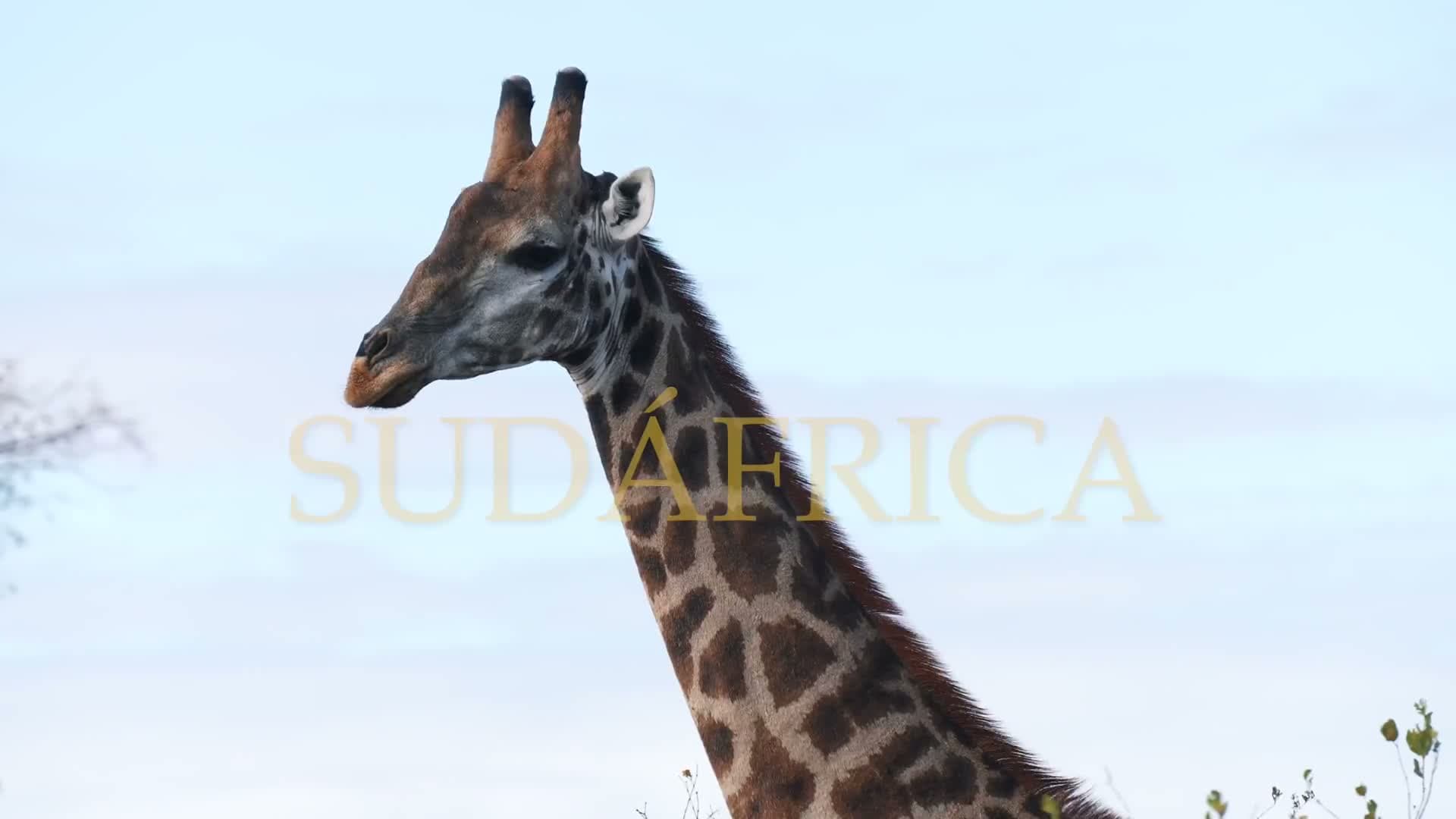 South Africa